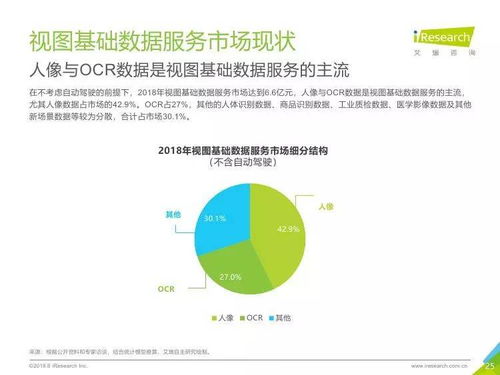 中国人工智能基础数据服务行业报告 驱动软件开发的未来引擎